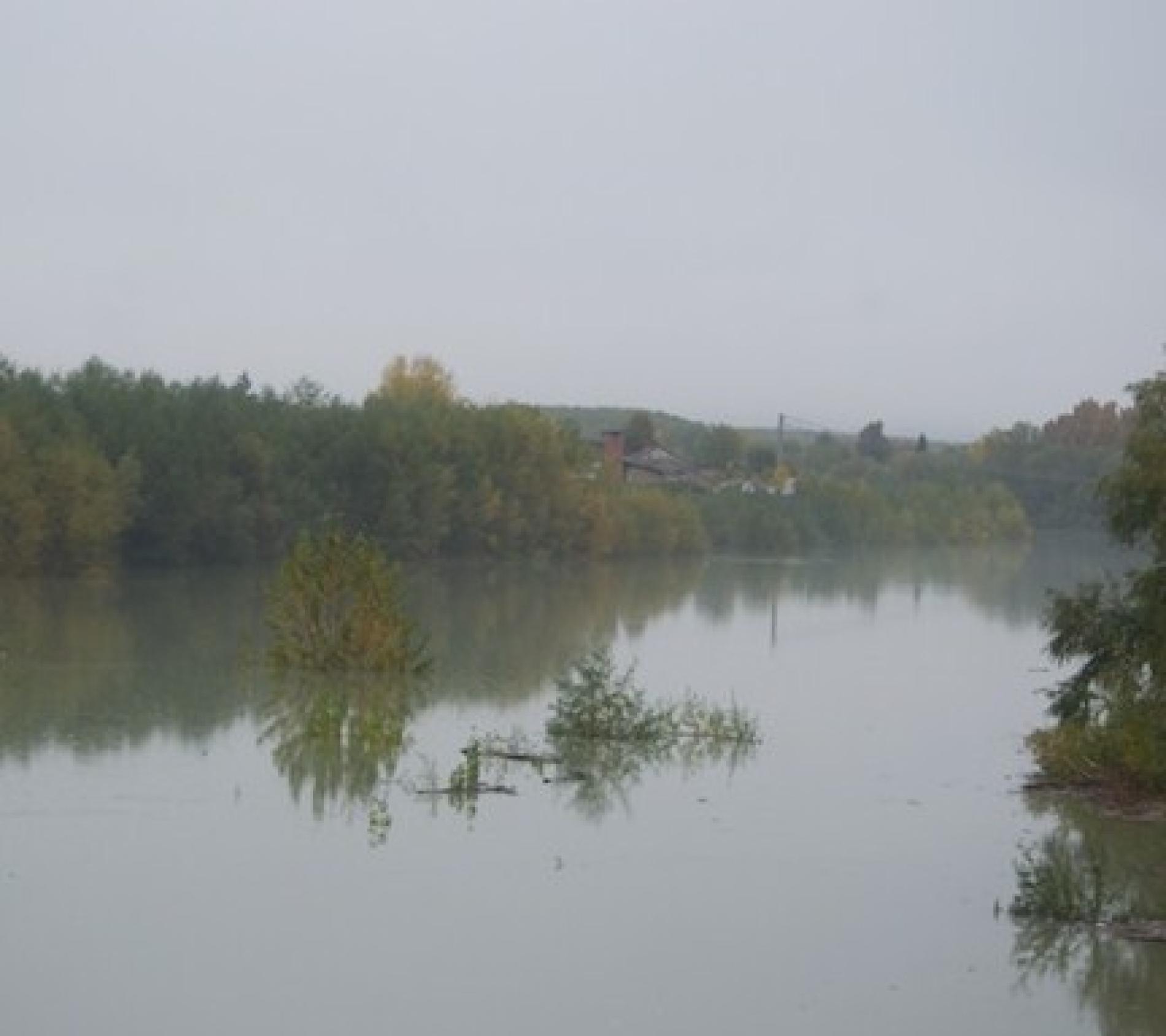 Alessandria: la canna, l’acqua e l’alluvione che insegna