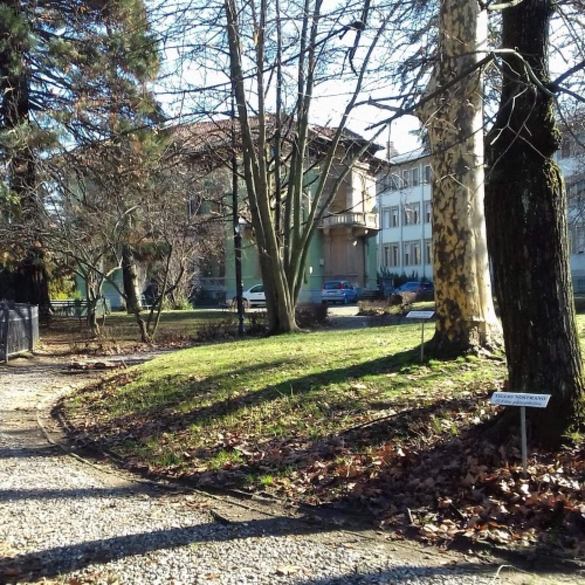 Villa Gabrieli: presto i lavori per il percorso sensoriale