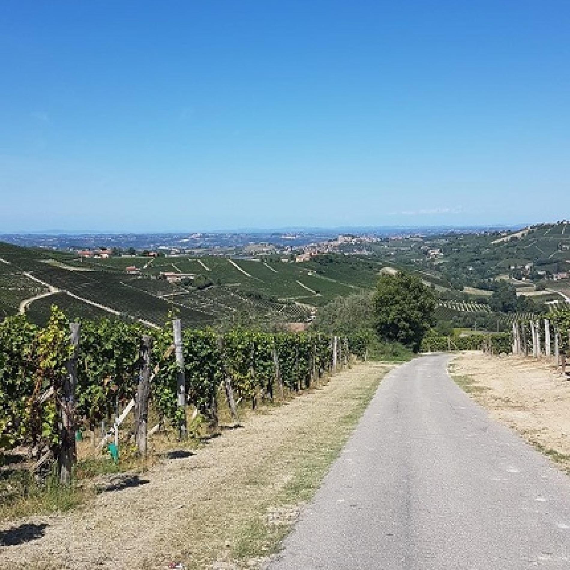 Torna il ciclismo a Quattordio: domenica la gara