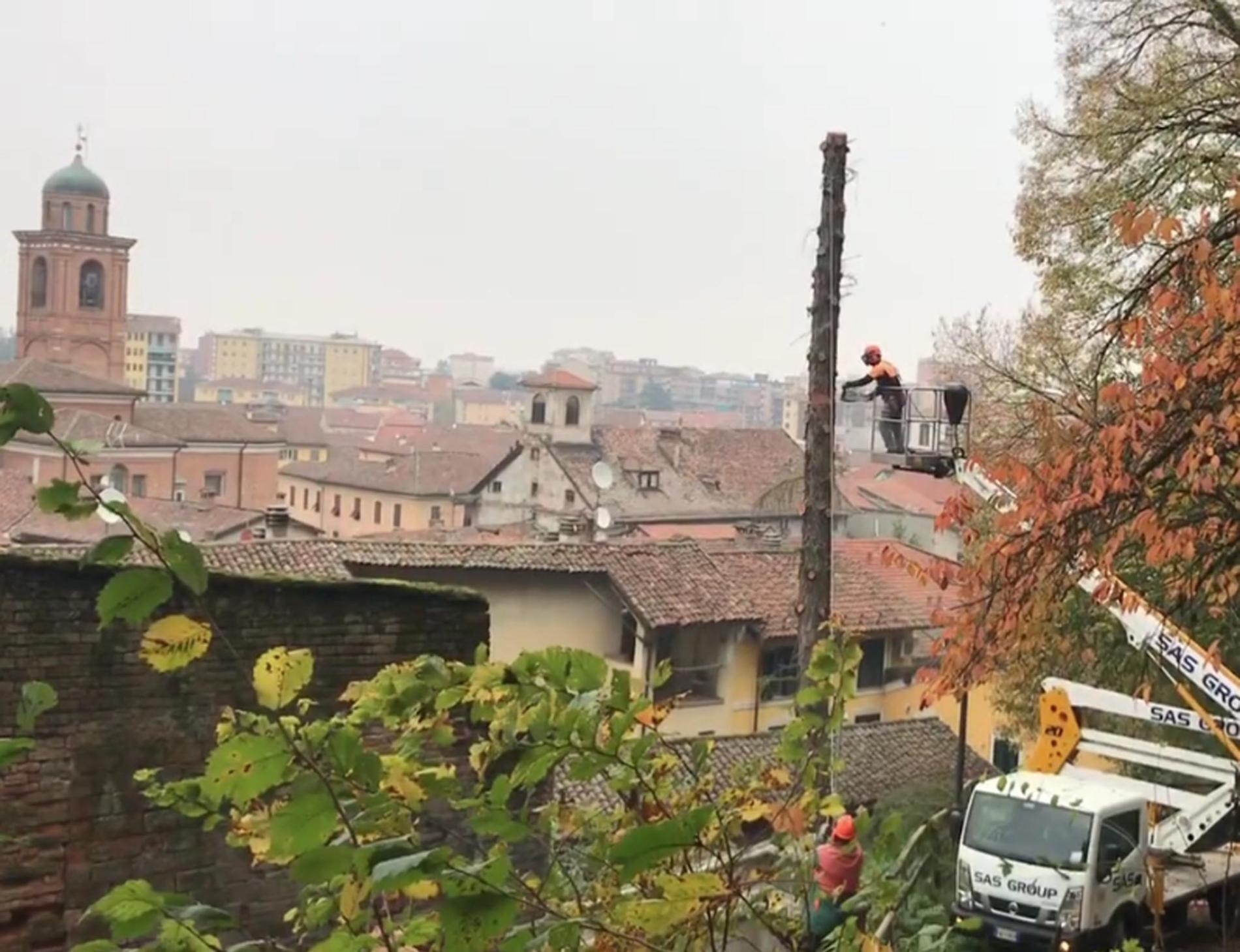 Oviglio: operaio ferito alla testa durante un taglio alberi