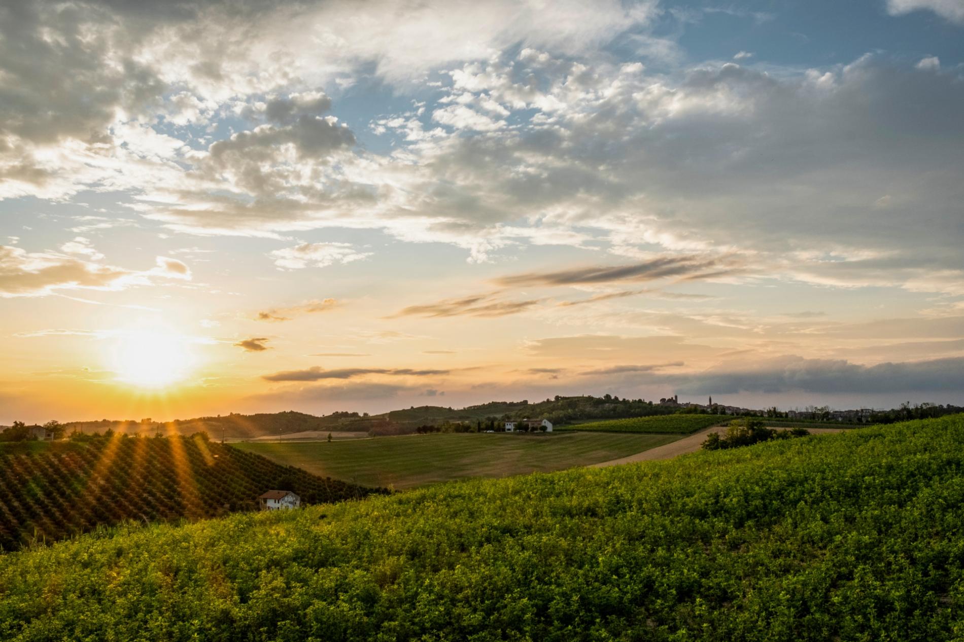 Langhe-Roero-Monferrato: ok al nuovo Statuto