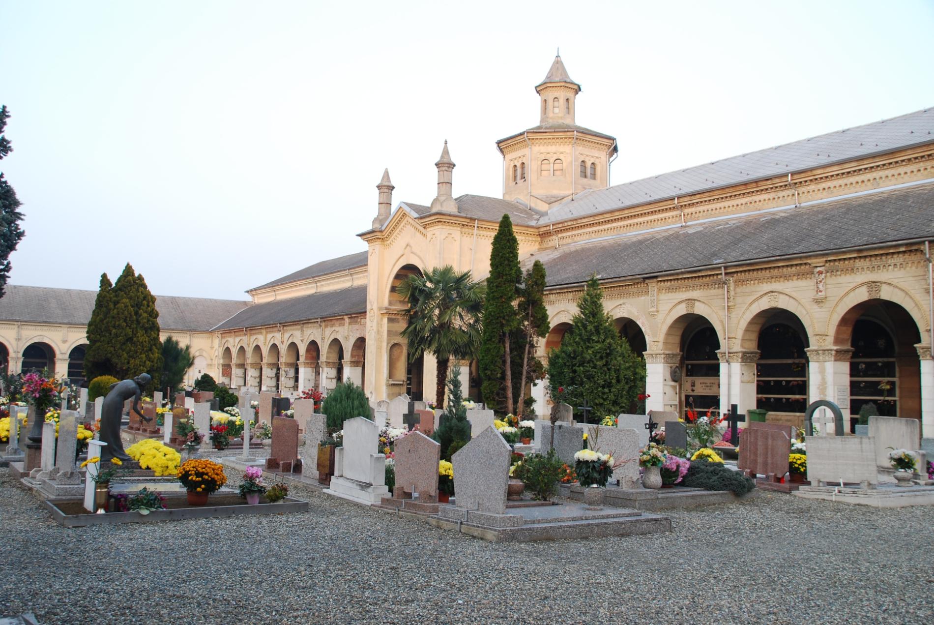 Cimitero di Alessandria: sono da abbattere 14 cipressi