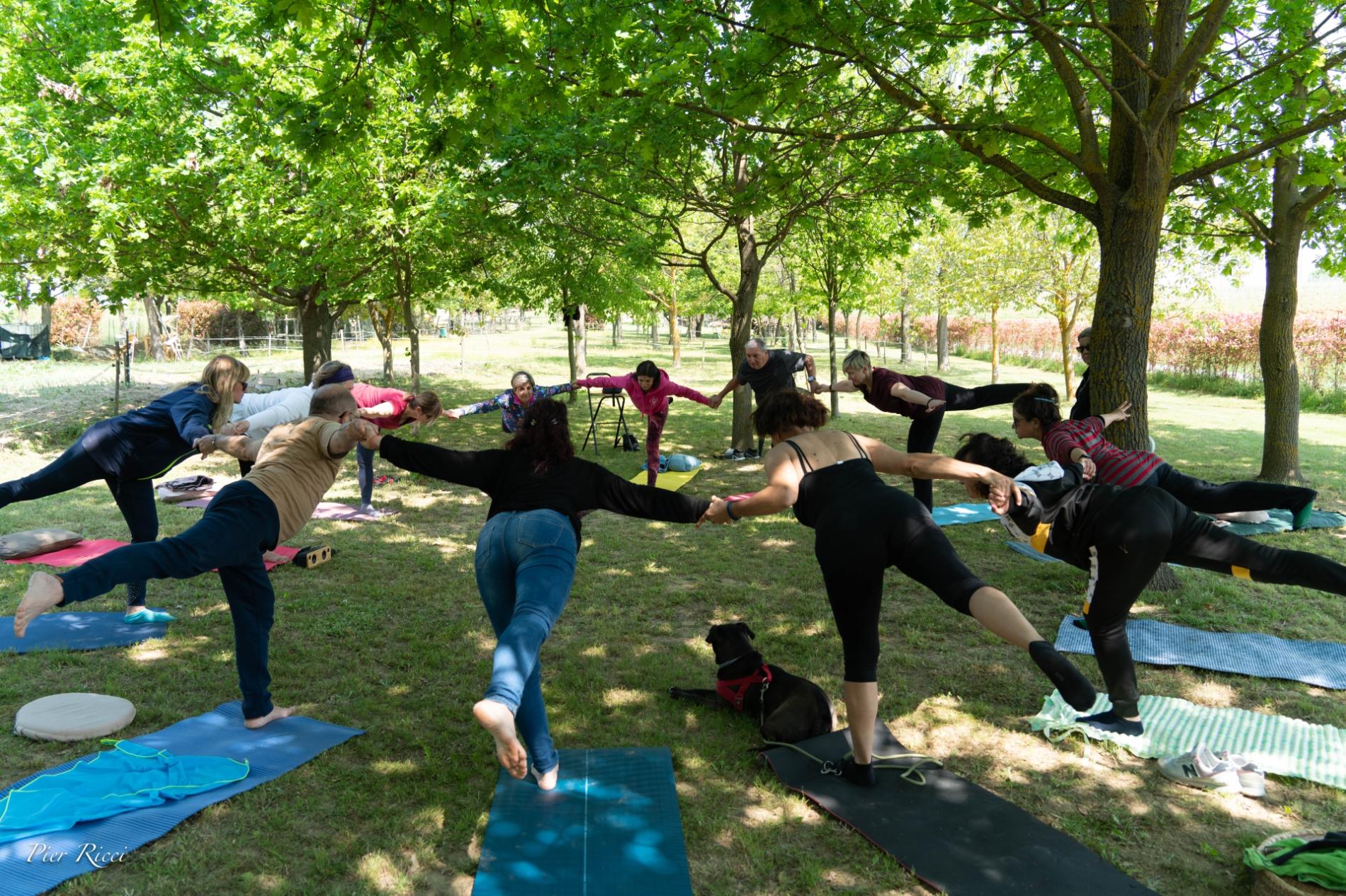 Il 21 giugno è la Giornata internazionale dello yoga