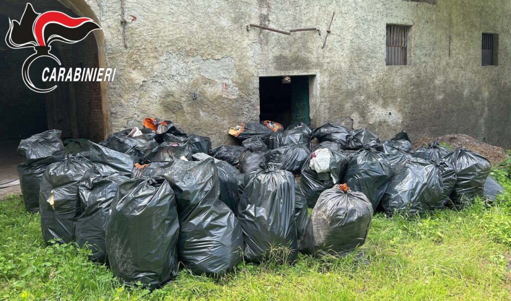 Grandi sacchi neri di rifiuti vicino al dumpster (iscrizione in russo - IL  RILASCIO DI COSTRUZIONE E DI RIFIUTI DI GRANDI DIMENSIONI È PROIBITO Foto  stock - Alamy