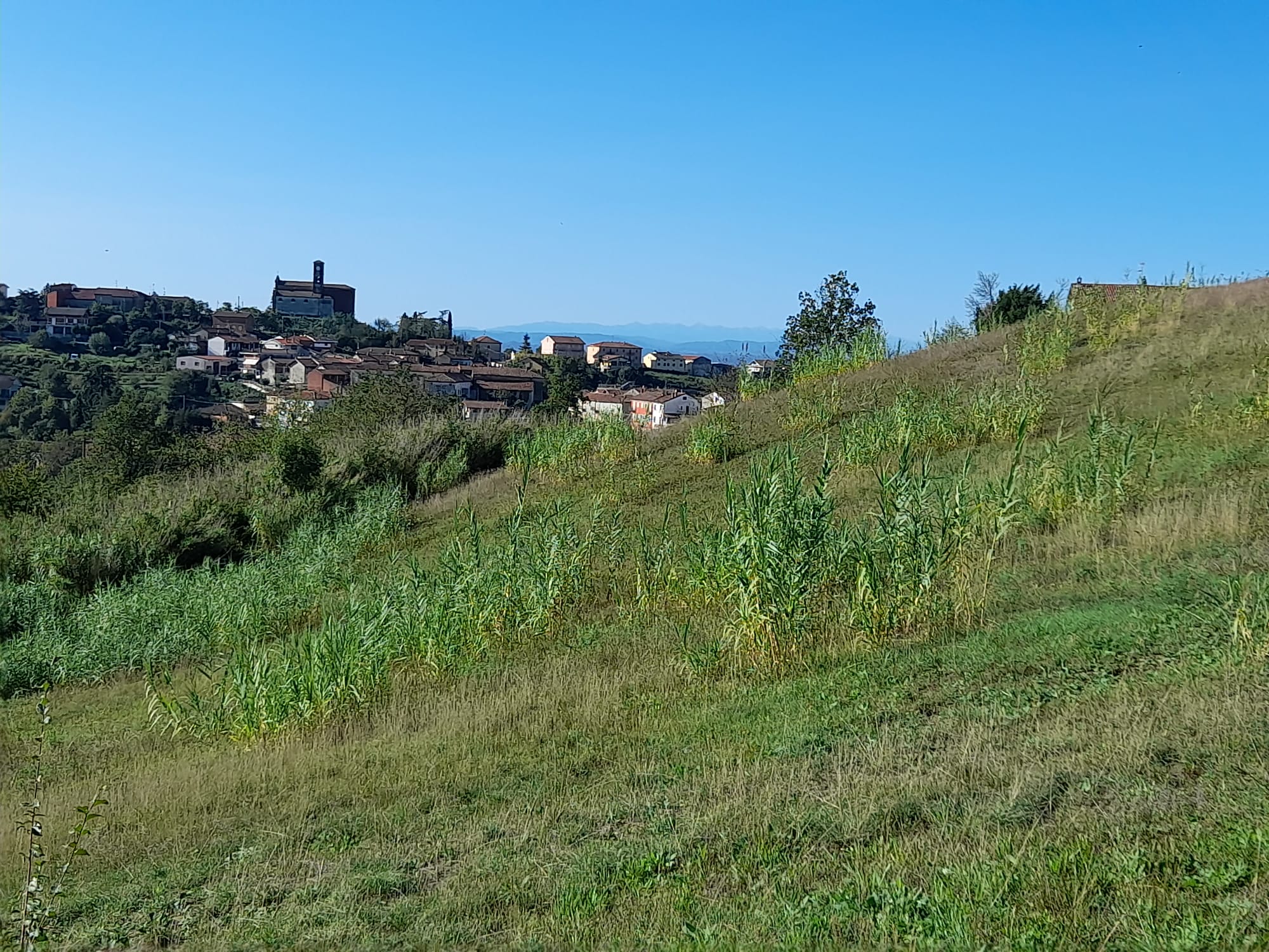 Cuccaro ride con Nuzzo e Di Biase