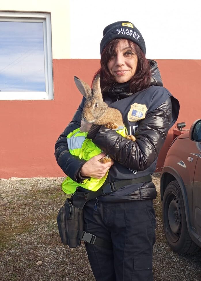 Alessandria: guardie zoofile salvano cagnolino e il suo proprietario