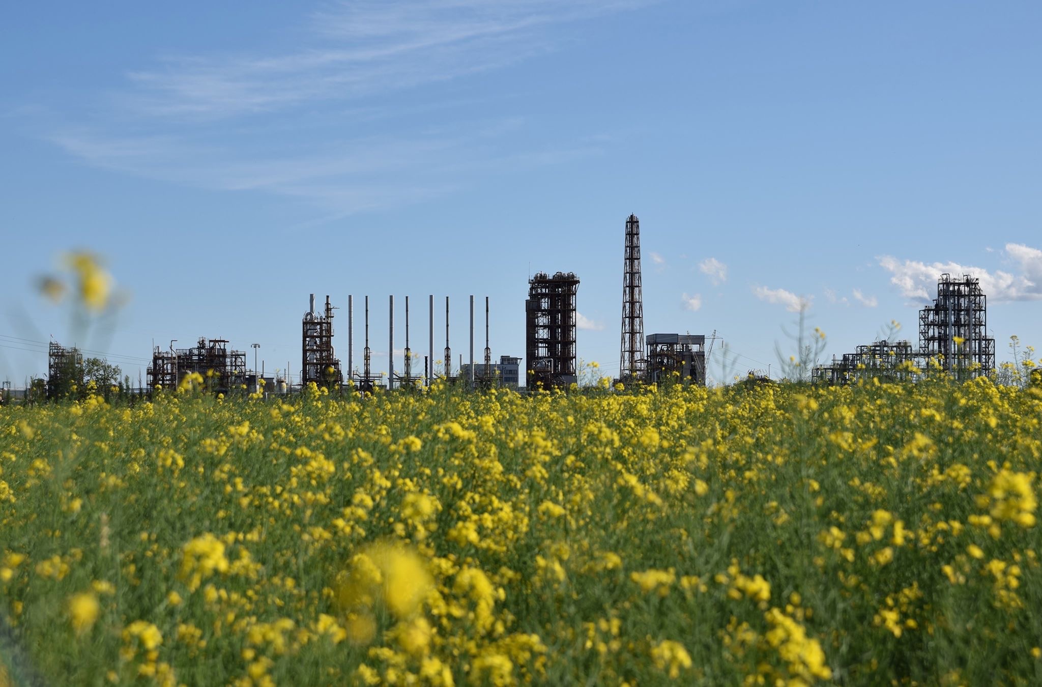 Pfas: Riboldi incontrerà la cittadinanza, ma le modalità non piacciono